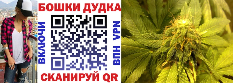 Конопля индика  где купить наркотик  Всеволожск 